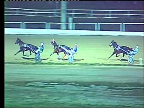 Trotto 27/12/2015 - prova di  riqualifica