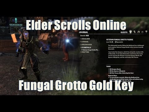 Elder Scrolls Online   Fungal Grotto Gold Key Veteran