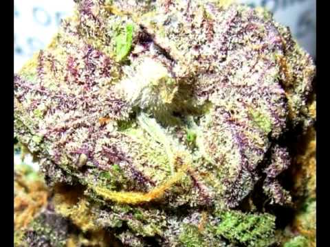 Skywalka Ft Kali kash & Laroo "Ready to smoke"