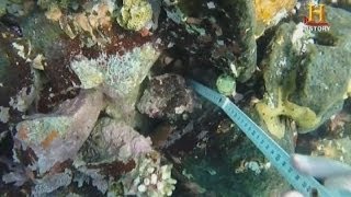 Christopher Columbus Santa Maria shipwreck? Experts say dive footage is the best proof yet