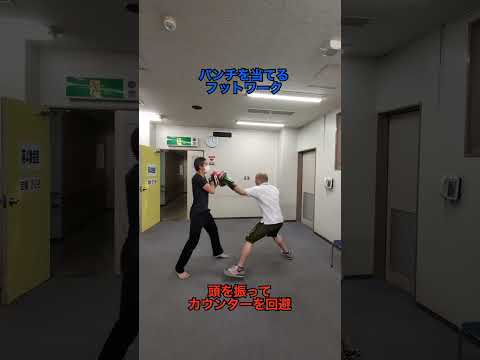 パンチを当てるフットワーク #格闘技 #武術 #martialarts