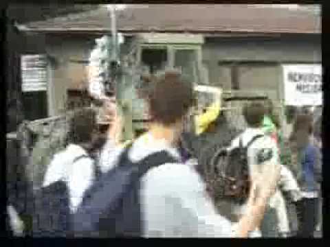 Zornjak - Idemo u dgra