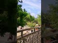 My Balcony View Shorts Balcony Status Naturephotography