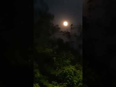 🌕 SUPERLUNA 12/07/22