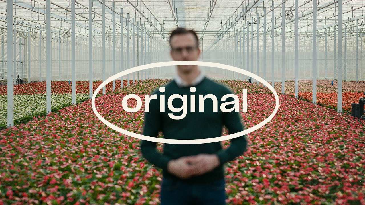 Video preview poster