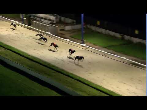 2020 RPGTV ST LEGER - 2ND SEMI - T6 AAYAMZA ROYALE