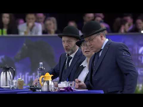 HK 2026 – Event 7 – Studbook Stallions approved from breeding season 2024 – Spanish