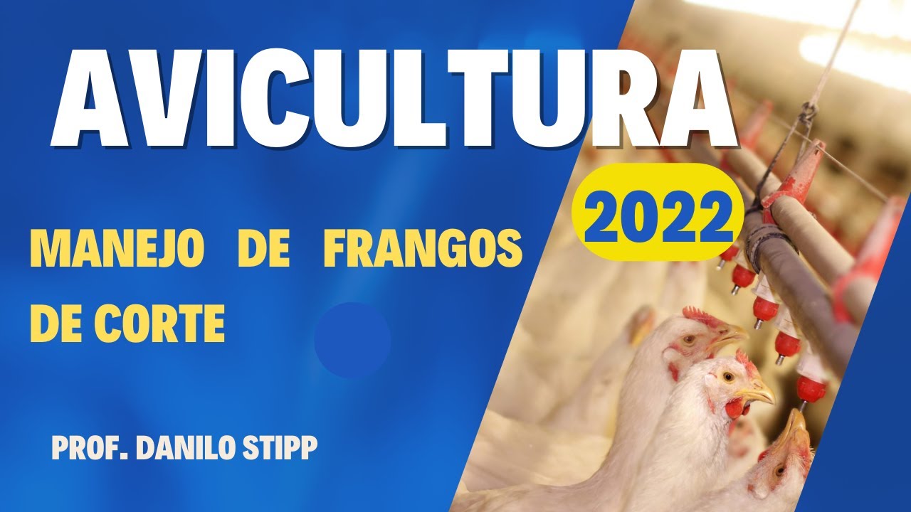 04 - Manejo de frangos de corte 2022