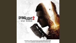 Cover art for dyonglight 2
