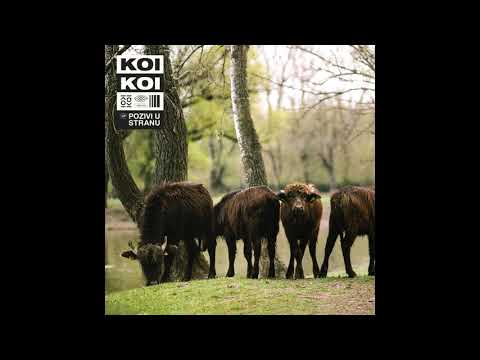 KOIKOI - One koje bole boje se i vole
