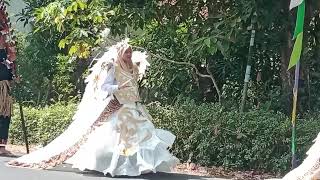 Thumbnail Video 5