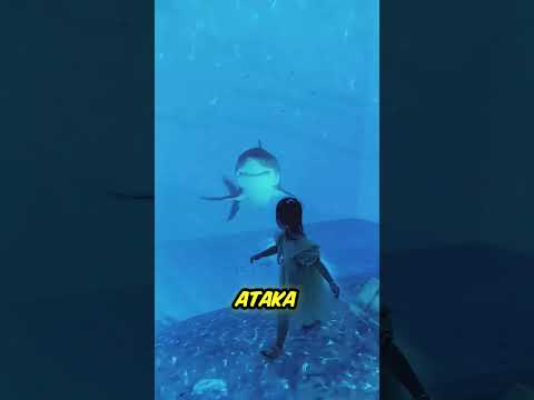 Все знали, что это фейк… но всё равно испугались 😨🫣