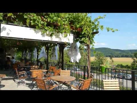 Breitengrad 51 - Weine von Saale/Unstrut