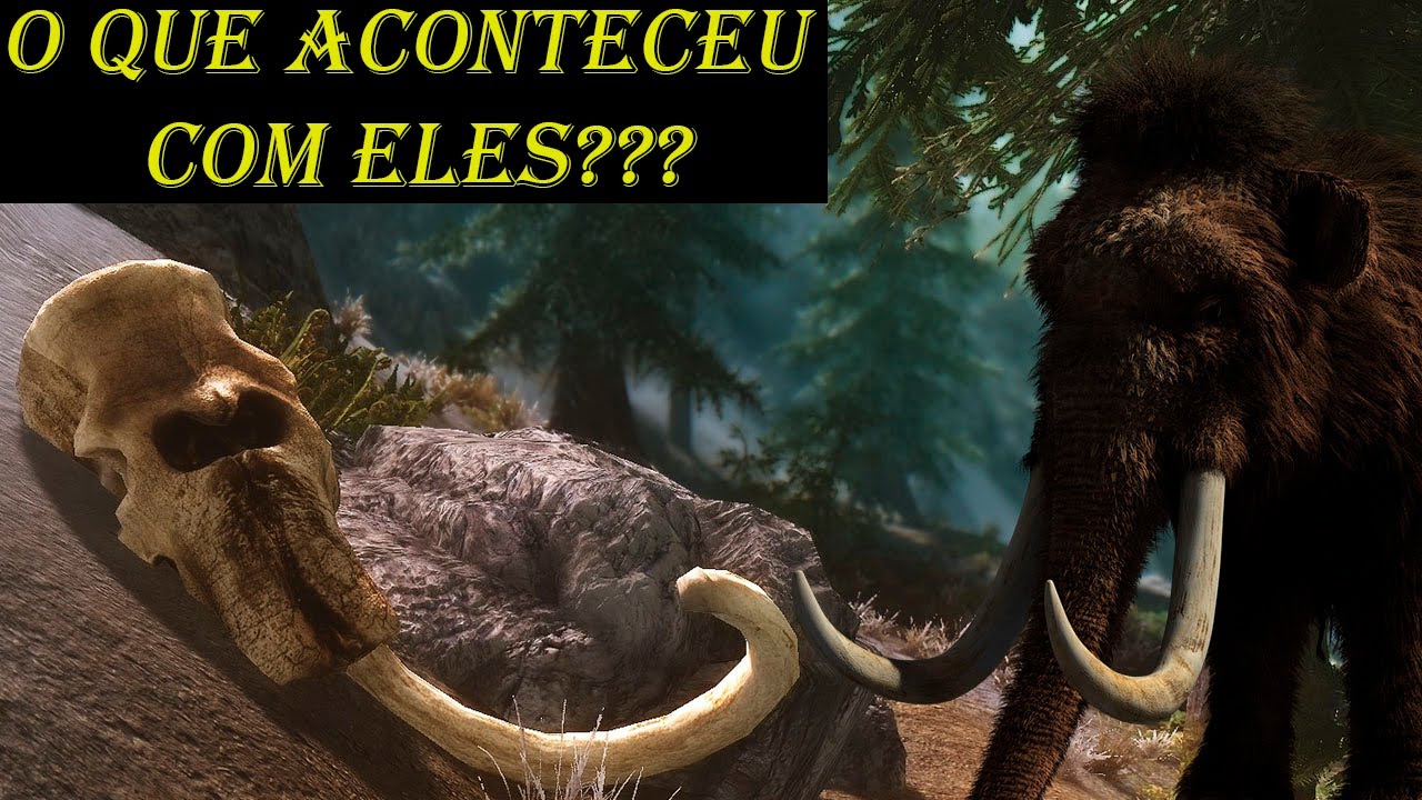 Por que os mamutes foram extintos? | Minuto Animal #8