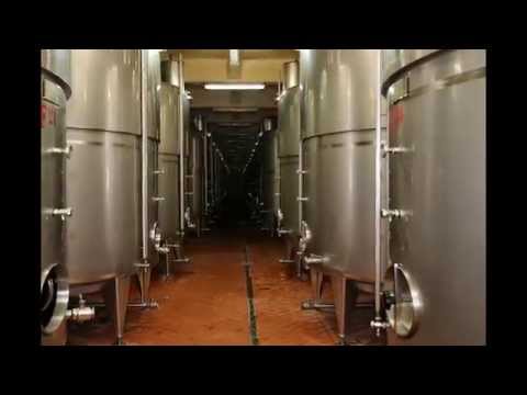 Domeniul Coroanei Segarcea - crame Romania