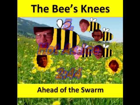The Bee's Knees - Ahead of the Swarm (Full Album) 2015