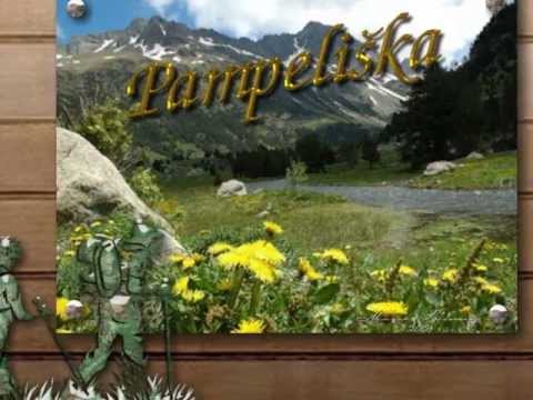 PAMPELIŠKA.flv