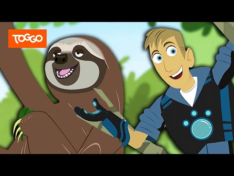 Go Wild! - Mission Wildnis | Die wunderbare Welt der Faultiere | Ganze Folge | TOGGO Serien