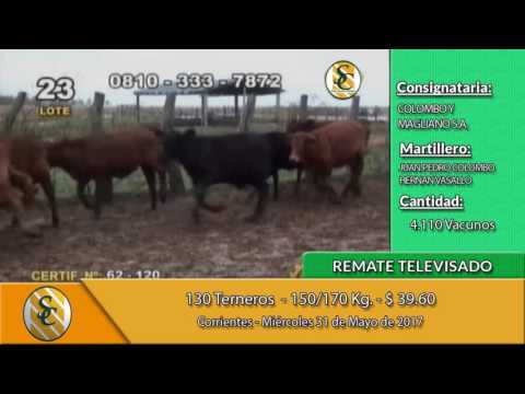 31-05-17 - Remate Televisado de Colombo y Magliano - Corrientes