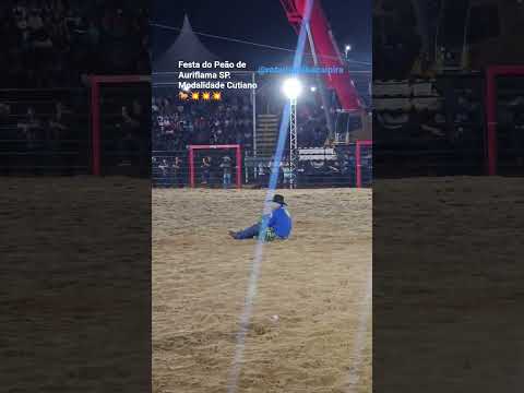 Festa do Peão de Auriflama 🤠. Modalidade Cutiano 🐎🐎. #rodeio #montarias #cavalo  @SBCCutiano