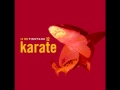 Karate - The Only Minority