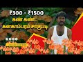 Kanakambaram Flower Cultivation In Tamil Crossandra Flower Cultivation In Tamil Valarum Velanmai
