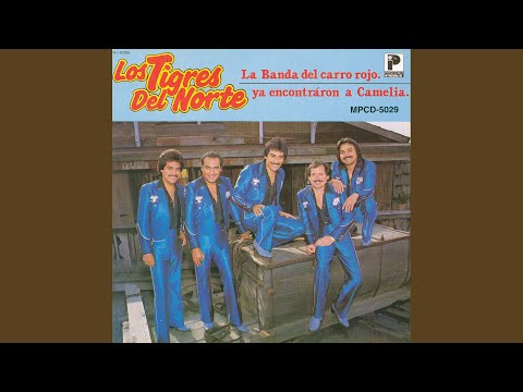 Videoclip de Ya Encontraron A Camelia — Los Tigres del Norte