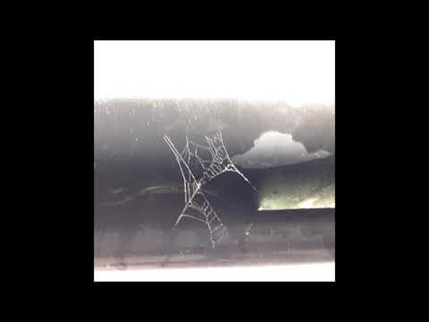 122. vittal flex & arthrn - myrtes [20.11.2015]