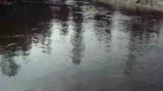 MOTHER FREEDOM  ~  BREAD  ~  SING-A-LONG