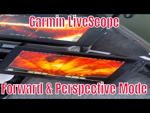 Garmin Livescope forward vs Perspective mode: on the water comparison of both