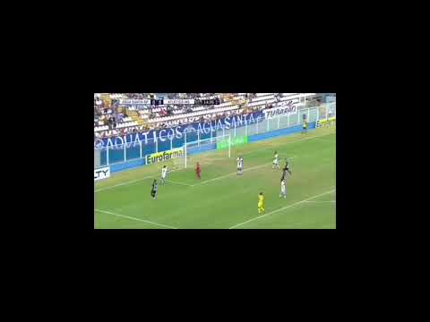 Defesas 2019