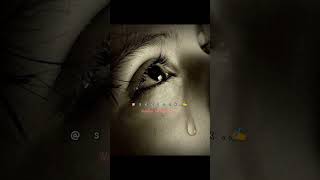 Download lagu రెక్కలొచ్చిన ప్రేమ నింగికి ఎగిరిందా..💔#emotional #sad #song 🎶#youtubeshorts #whatsappstatus mp3