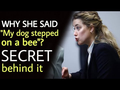 Why She said "My dog stepped on a bee"? | Johnny depp and Amber heard