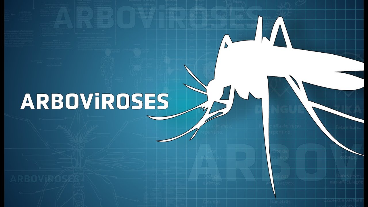 Curso de Capacitação em Arboviroses - Aula 2: Dengue