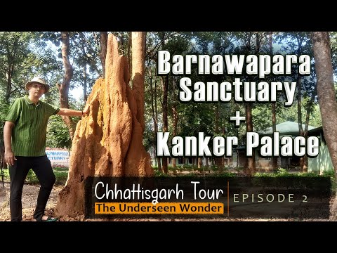 Chhattisgarh छत्तीसगढ़ | Barnawapara Sanctuary बारनवापारा | Kanker Palace कांकेर | Episode 2