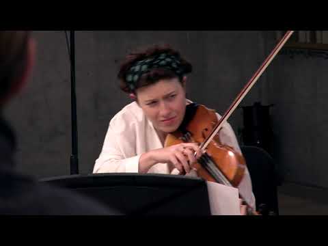 George Onslow - String Quintet in C minor, op. 38 "The bullet" - I.Allegro Moderato