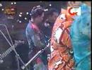 Sunflower New Show Part 5