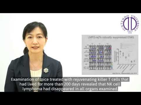 医学科 Juntendo Research Video -Dr. Ando, the Department of Hematology-