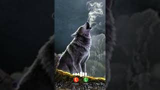 Download lagu Horror Message Ringtone | Best sms tone | Notification Ringtone | notification sound | #short mp3 Download lagu Horror Message Ringtone | Best sms tone | Notification Ringtone | notification sound | #short mp3