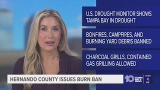 Hernando County issues burn ban for entire county