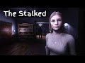 BAYANGKAN ADA YANG MENGUNTITMU SEPANJANG HARI The Stalked