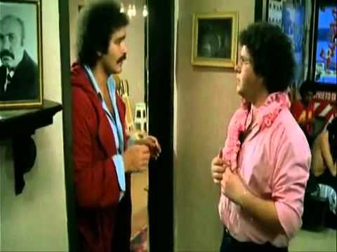 i fichissimi ibbrido