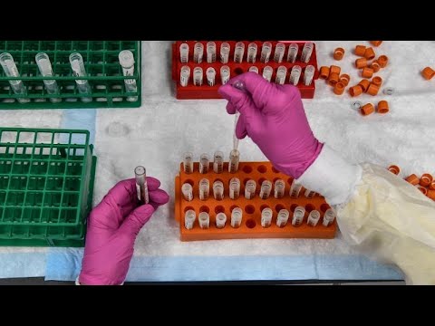 E tre! Astra-Zeneca annuncia il suo vaccino anticovid