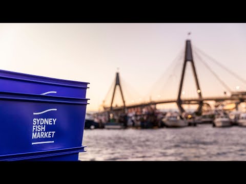 Sydney Fish Market
