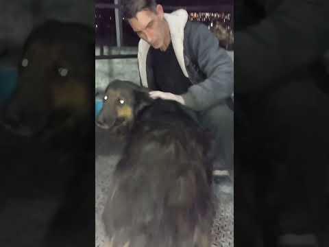 RUSHIL AYEDEN ✌️ DeMura.TV