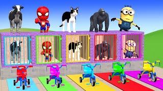 Long Slide Game With Cow Elephant Gorilla Hippopotamus Tiger - 3d Animal Game - Funny 3d Animals
