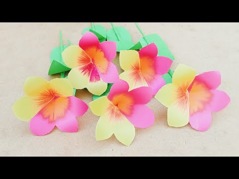 Mirabilis paper flowers| craft beautiful mirabilis paper flower| nursery ideas mirabilis Flower