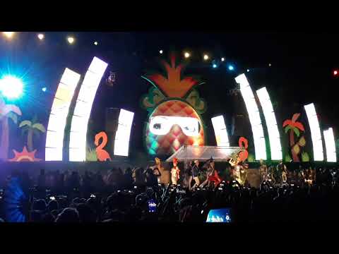 INDEX POOL PARTY 2019 ABERTURA