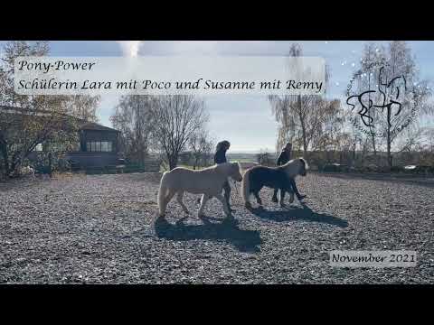 Adventskalender 2021 - Türchen Nr. 19: Pony Power