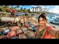 Living In MAURITIUS How People Live Where 4 CONTINENTS Share One Island 4K Travel Documentary